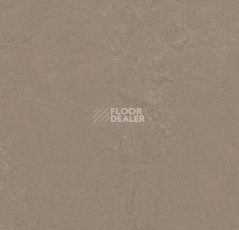 Линолеум Forbo Marmoleum Decibel on Order 370935 silt фото 1 | FLOORDEALER